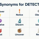 synonyms for detect