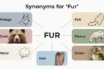 synonyms for fur