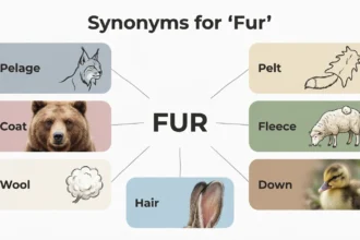 synonyms for fur