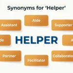 synonyms for helper