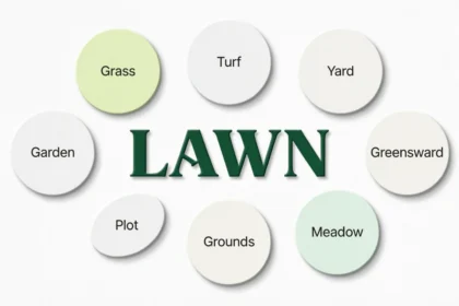 synonyms for lawn