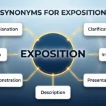 synonyms for exposition