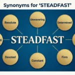 synonyms for steadfast