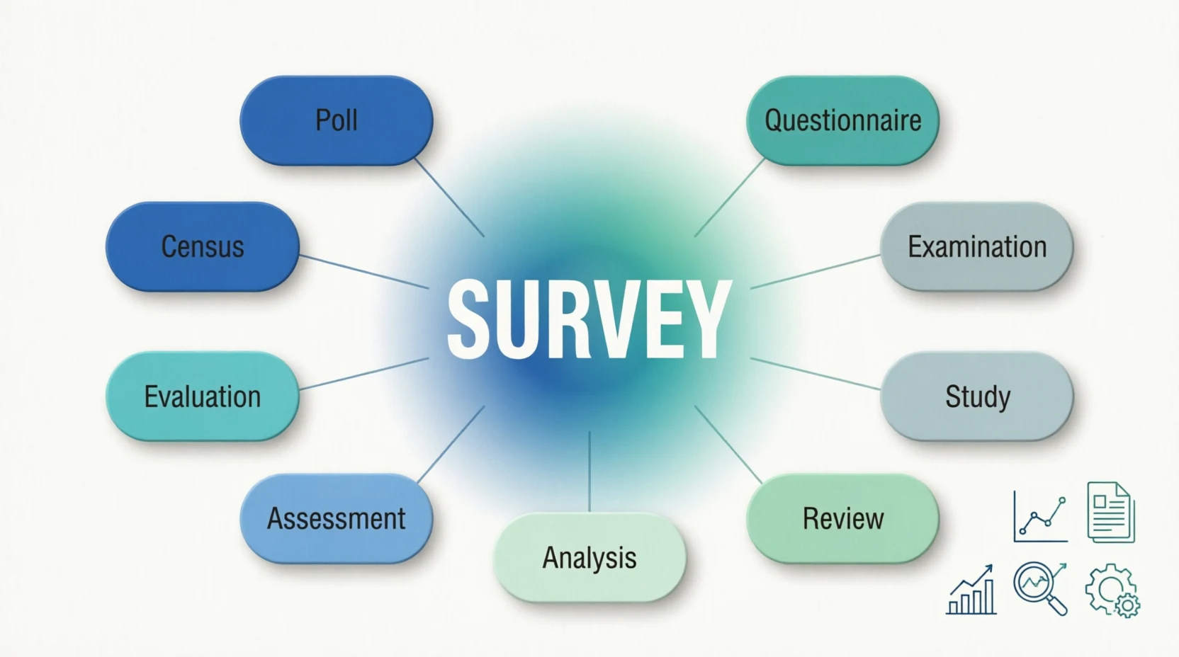synonyms for survey